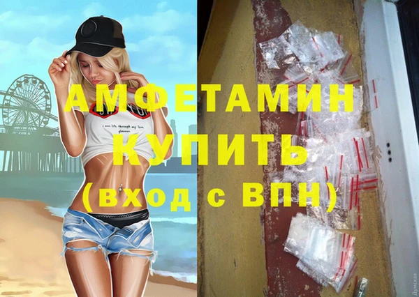 стаф Аркадак