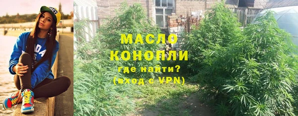 стаф Аркадак