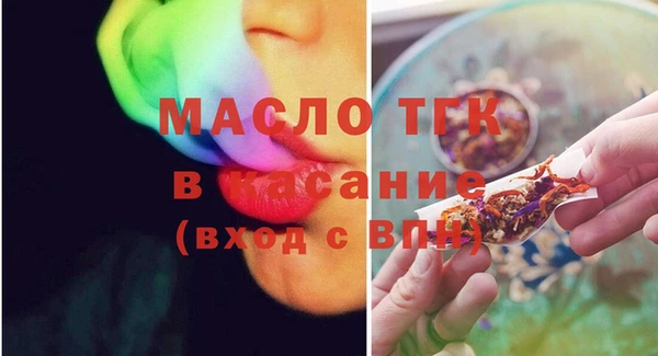 стаф Аркадак
