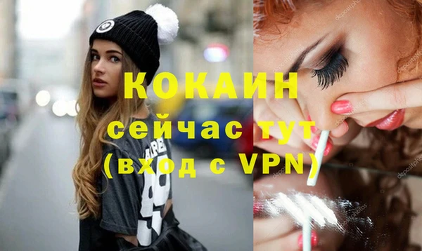 стаф Аркадак