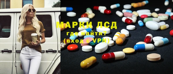 стаф Аркадак