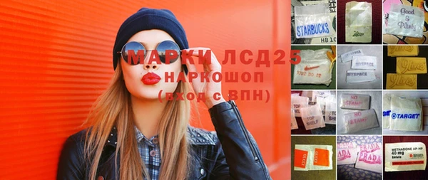 стаф Аркадак