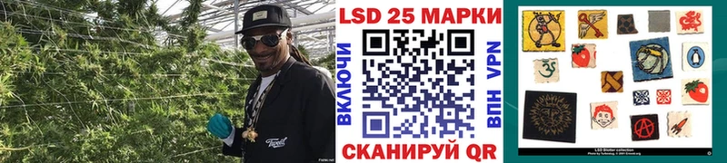 сайты даркнета Telegram  Томмот  Марки N-bome 1500мкг  магазин   